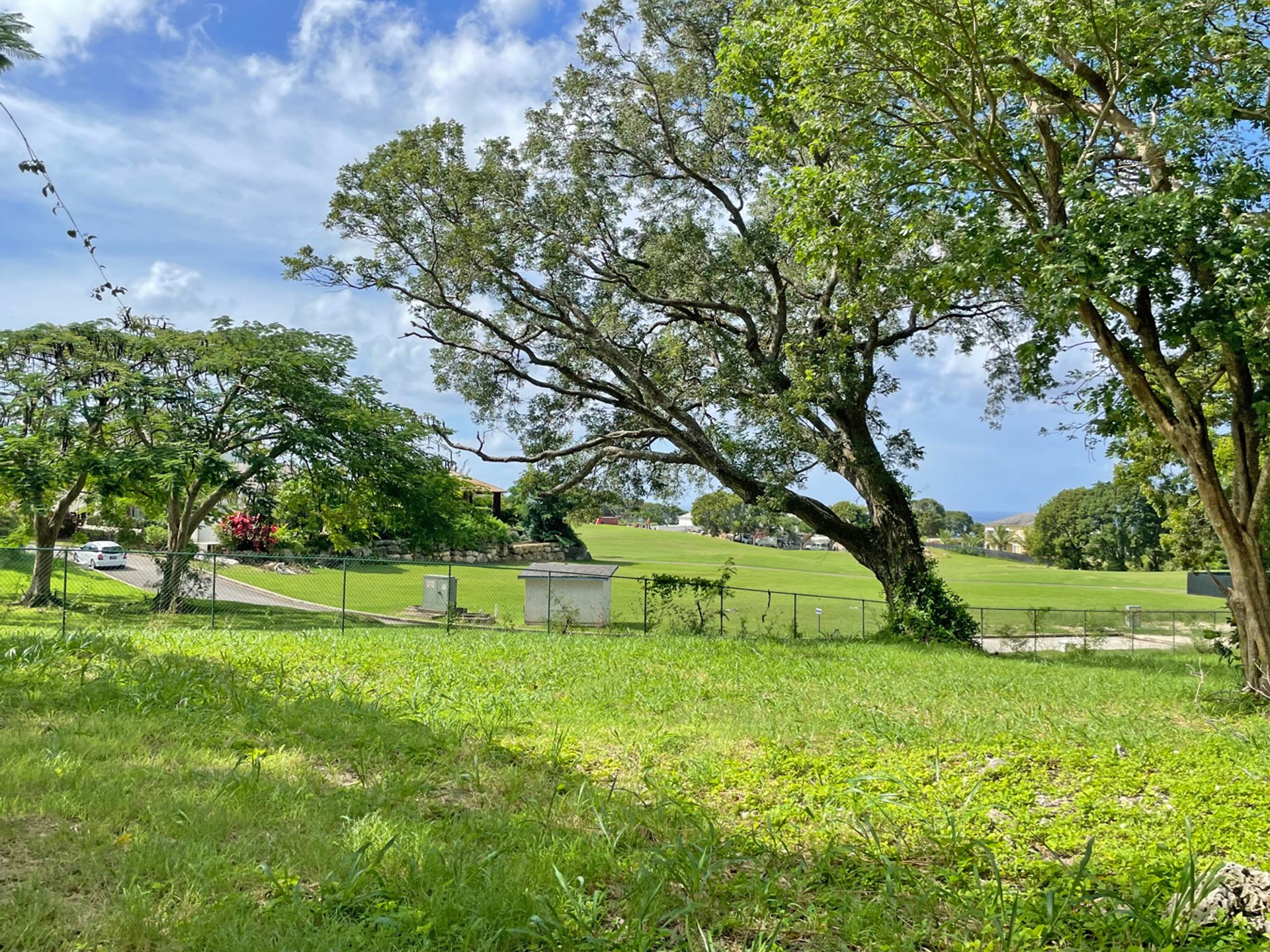 Beautiful grounds of Westmoreland Plantation Gallery