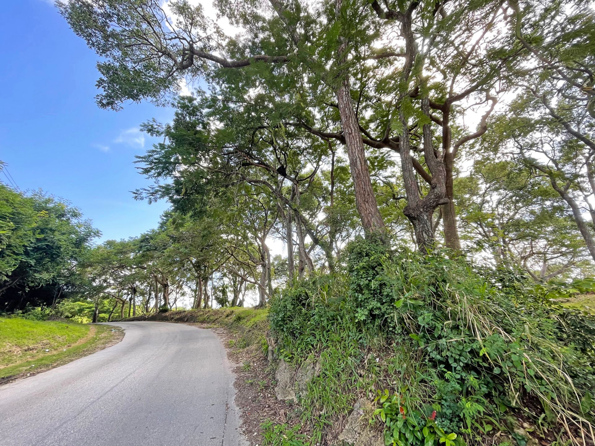 Porters Road adjacent to Westmoreland Plantation Gallery