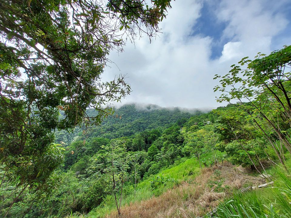 Carrisal Trace Lot 6 Photo