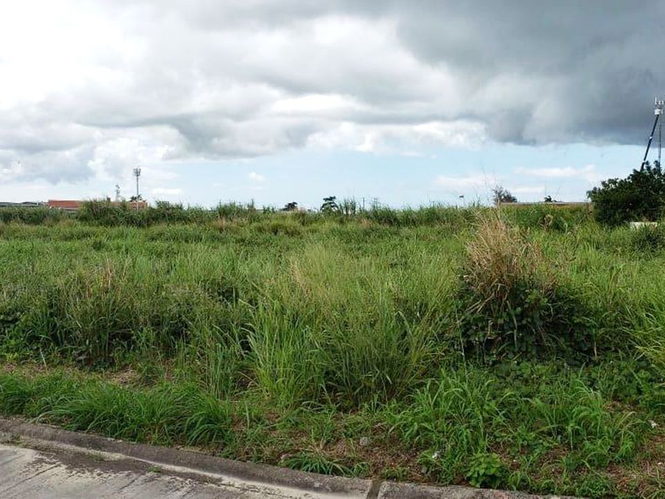 Endeavour Gardens Lot 35 Photo