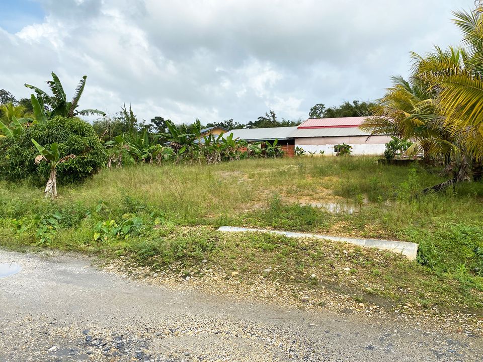 Francilla Avenue Lot 6 Photo