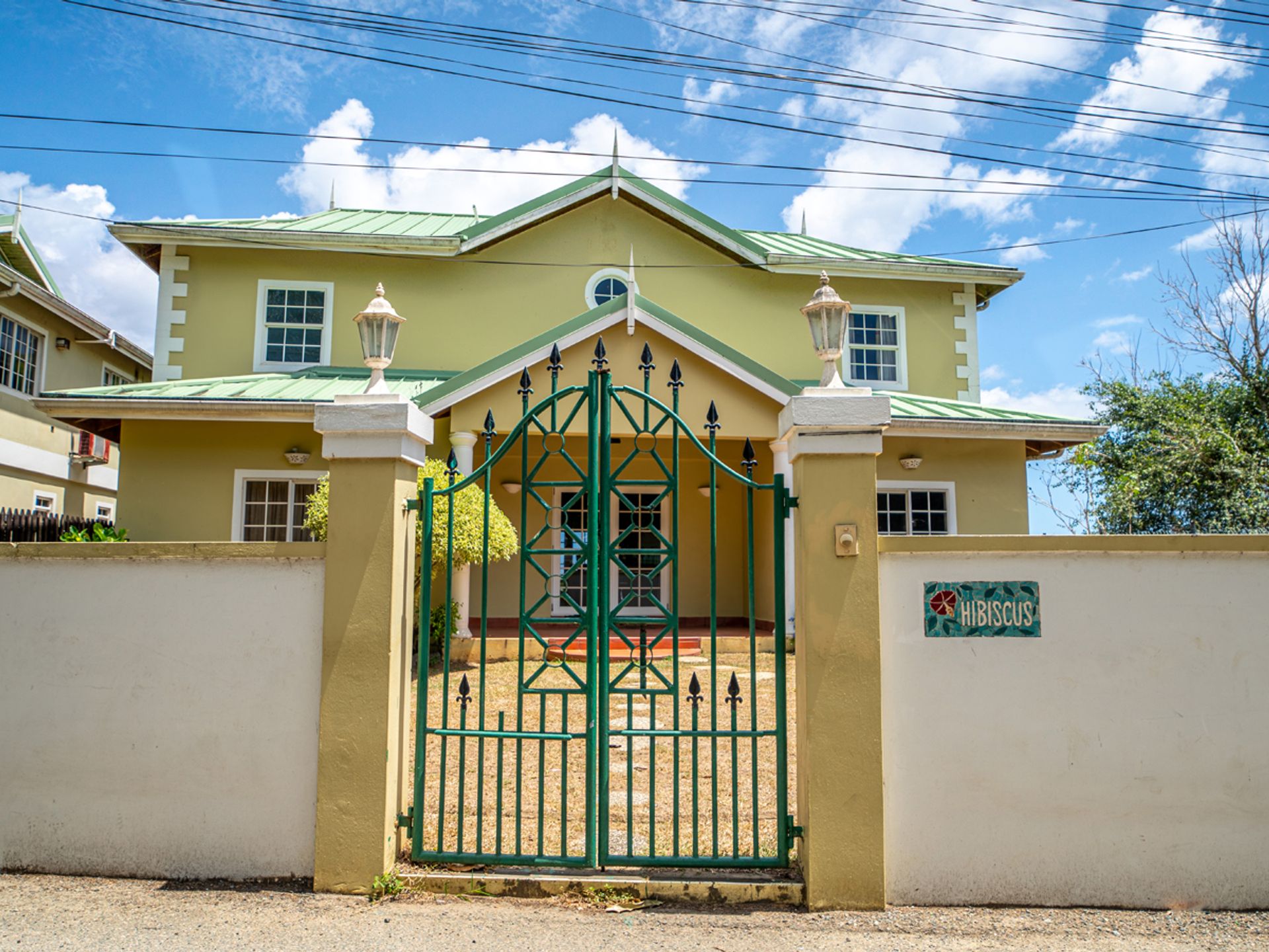 Hibiscus, Tobago Photo
