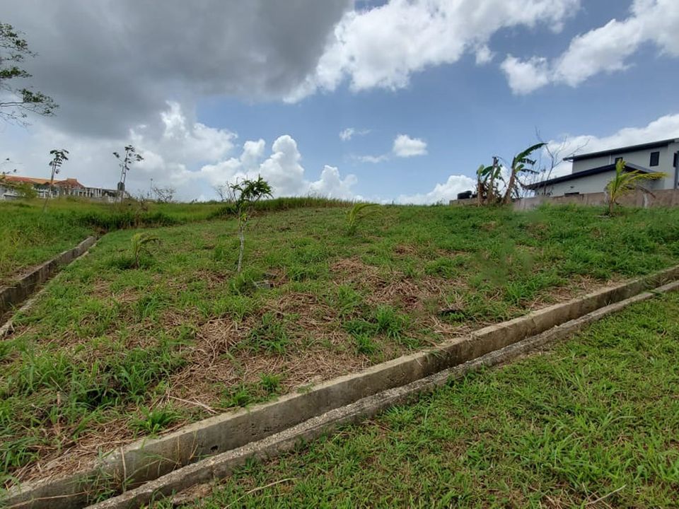 Le Ann Gardens , Freeport Photo