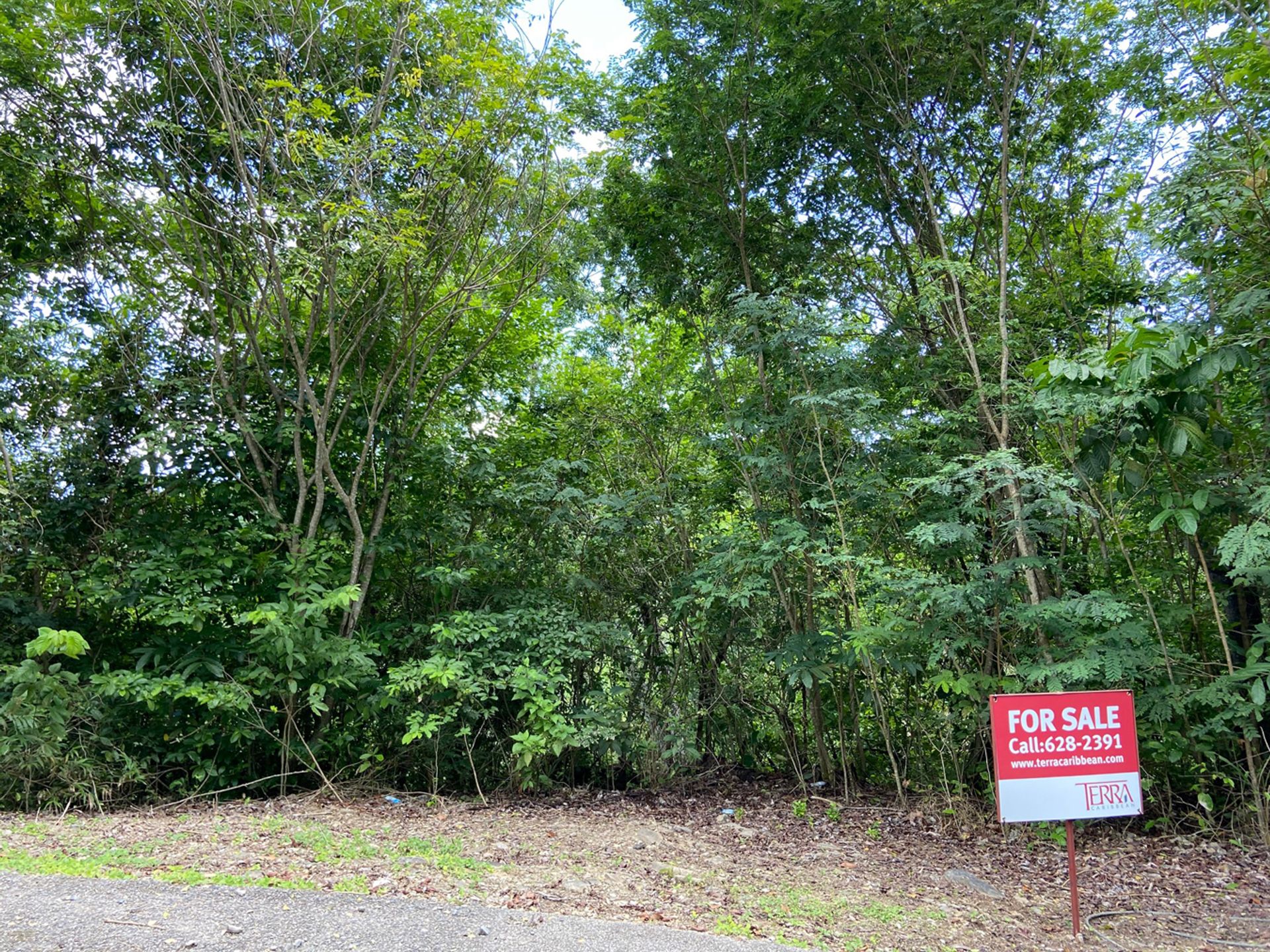 The Orchard, Lot 50 Photo