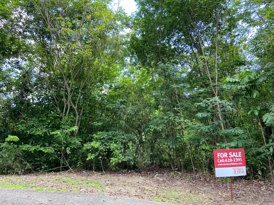 The Orchard, Lot 50 Photo