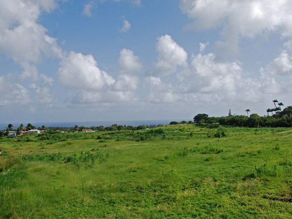 Adams Castle Lot 66 Photo