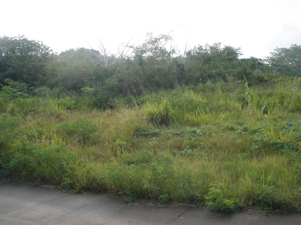 Applegrove Lot 34 Photo