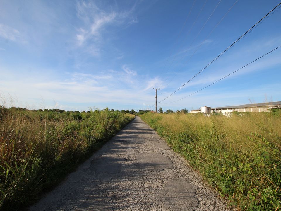 Bright Hall Lot 7 Photo