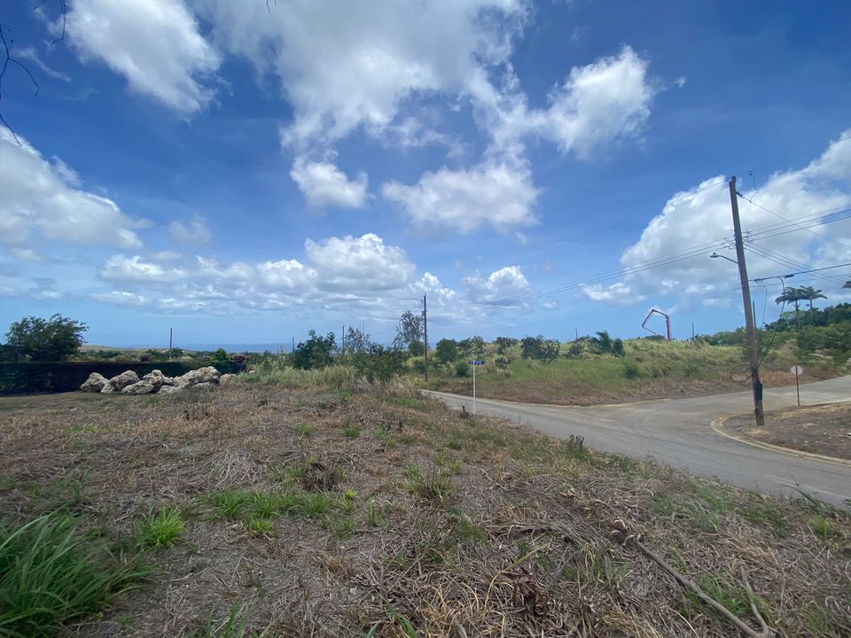 Dunscombe Plantation Lot 2 Photo