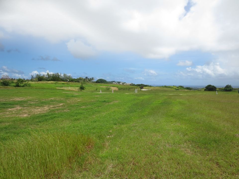 Hill View Estate Lot 6 Photo