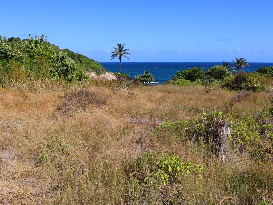 Atlantic Sunrise Property Photo