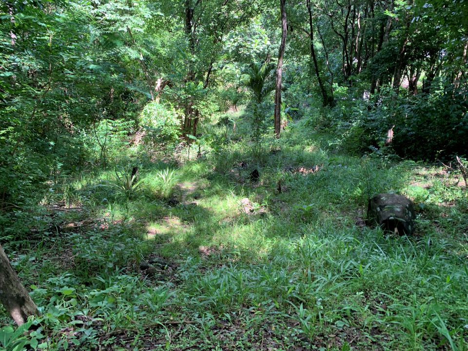 Dougaldston Estate Lot 3A Photo