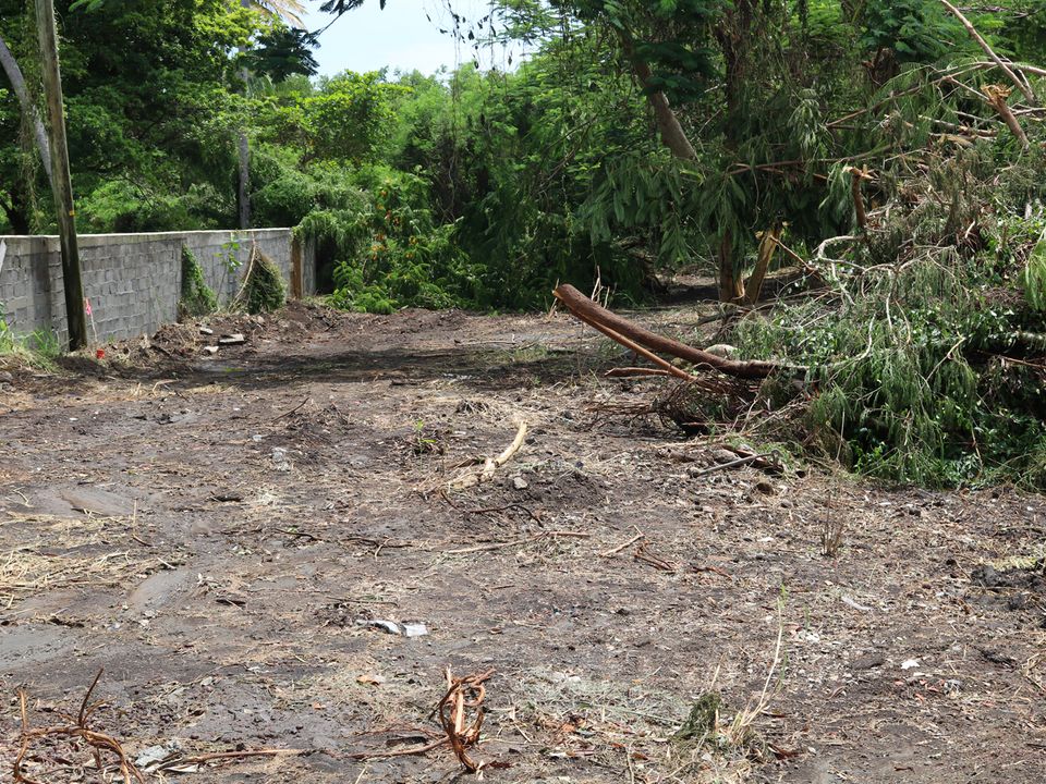 Lovers Lane Lot Photo