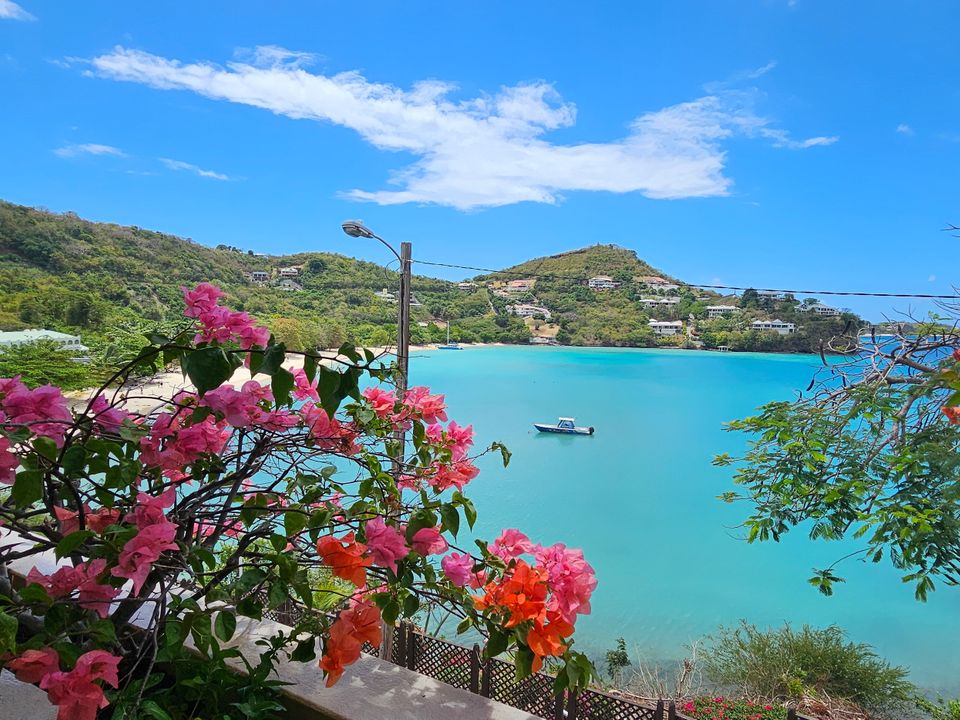 Mariposa Unit No.A2 Photo