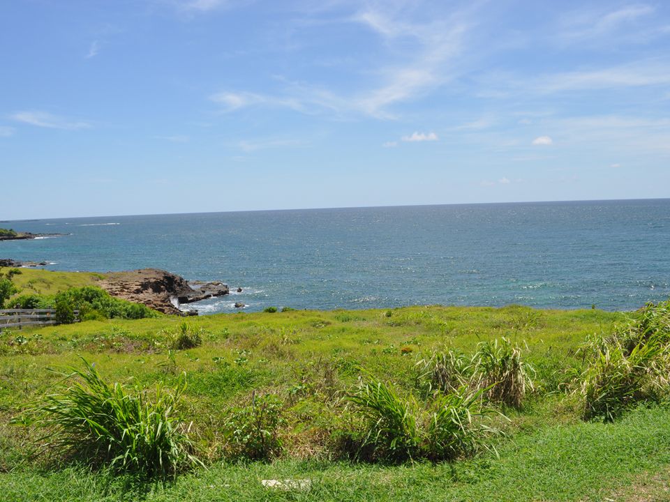 Point Drive No 5 Photo