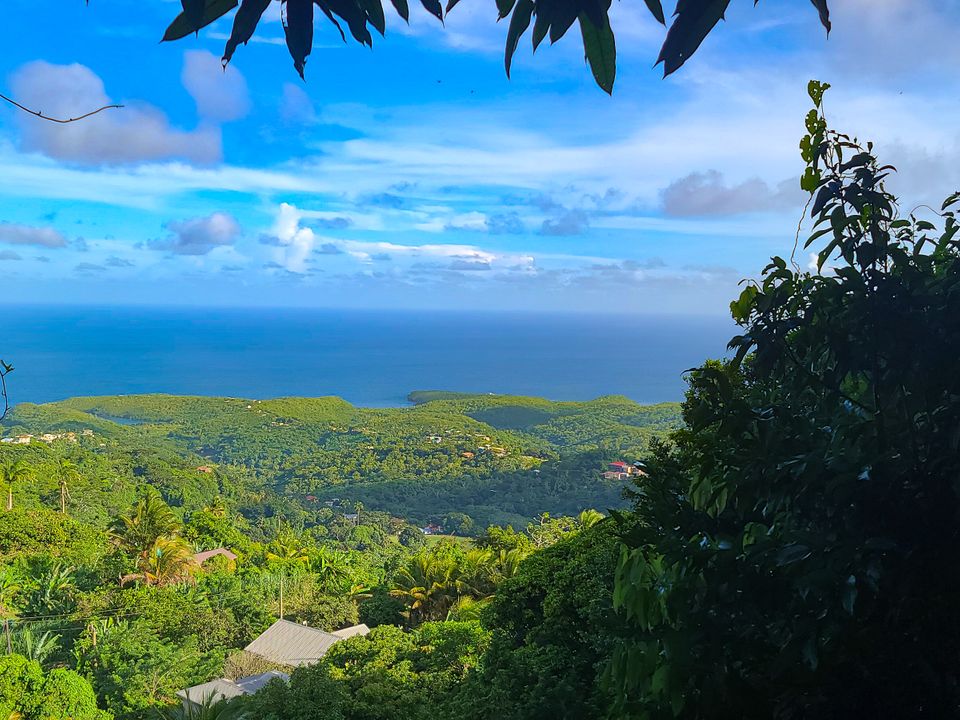 Spice Escape Property Photo