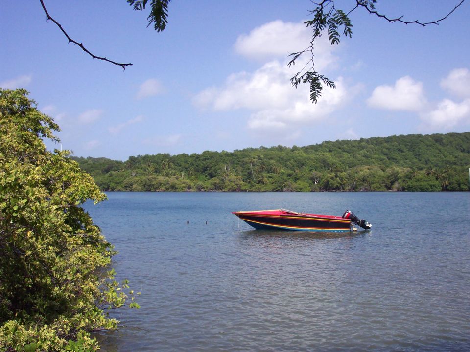 St. Davids Harbour Photo