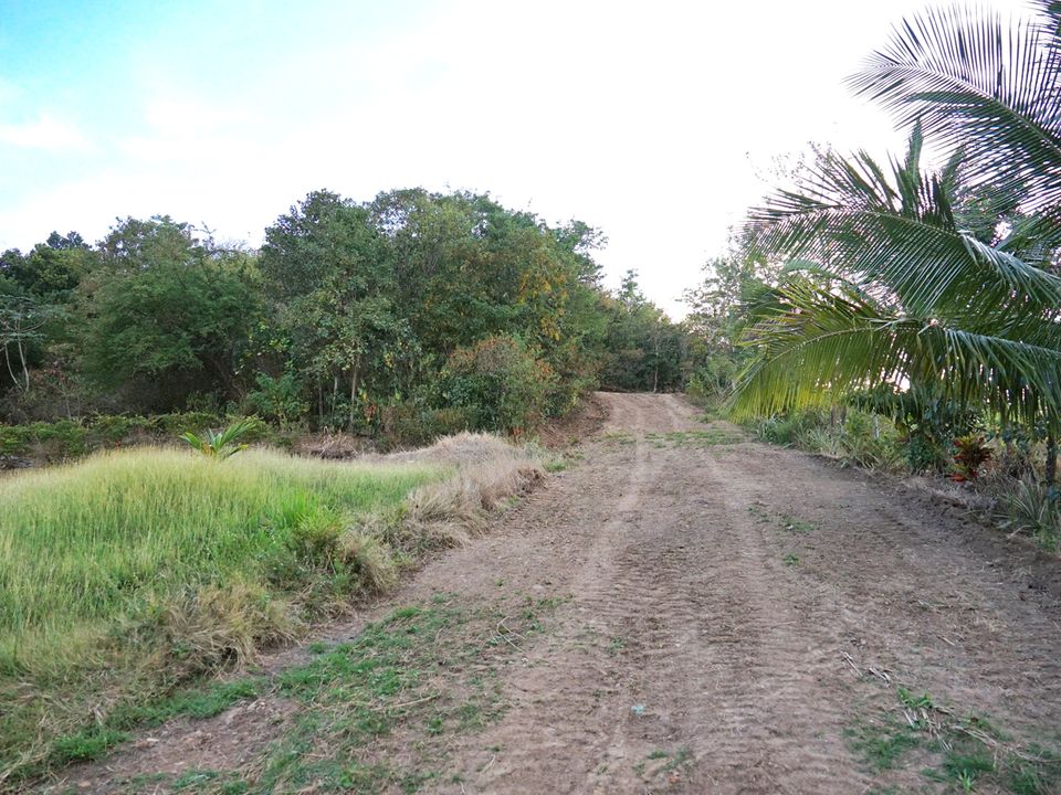 Monchy Land No 448 Photo