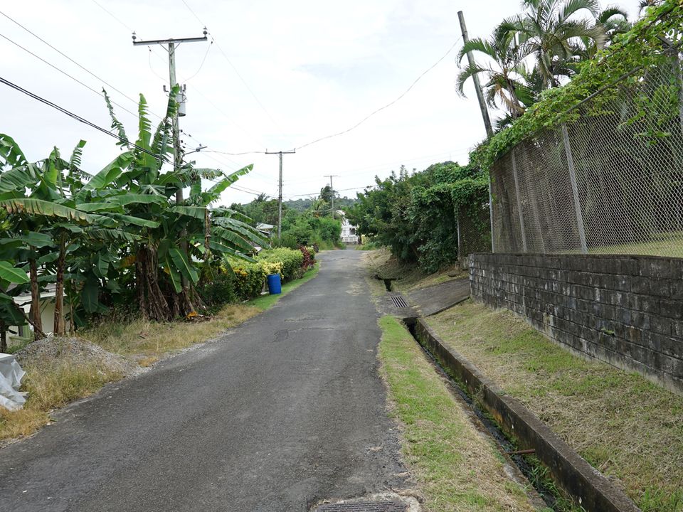 Mon Repos Lot No.232 Photo