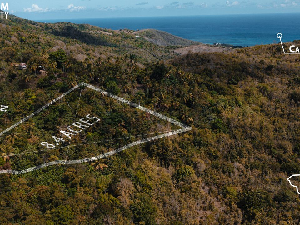 Morne Paul Laborie Land Photo