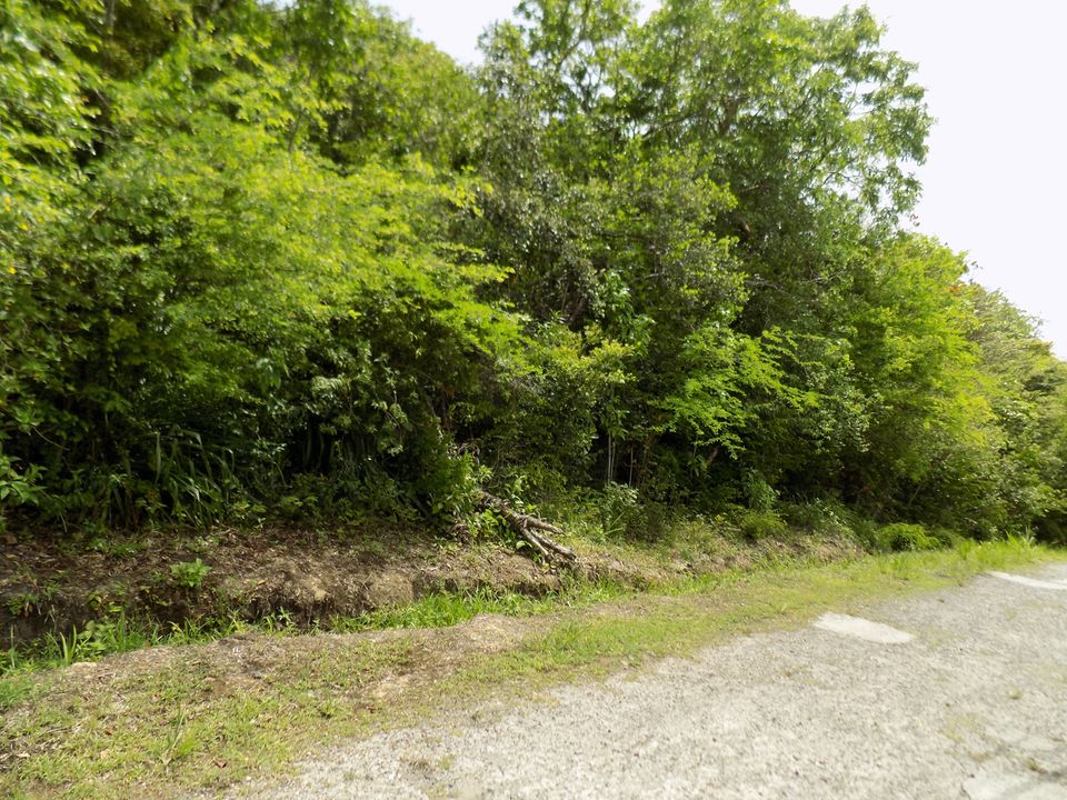 Marigot Bay Land No 179 Photo