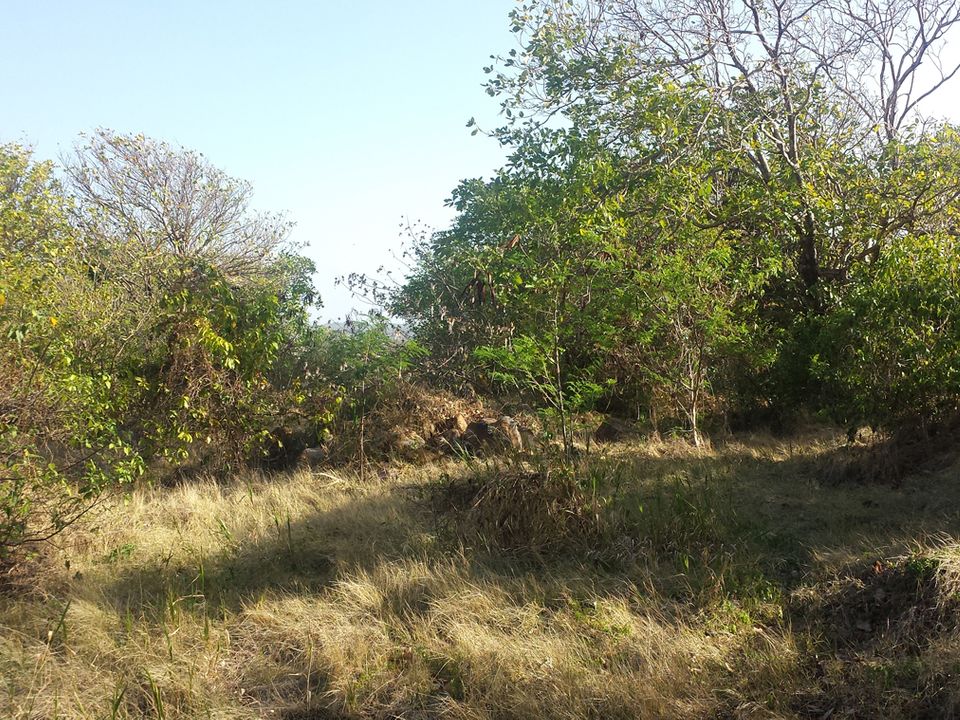 Canelles Land No 96 Photo