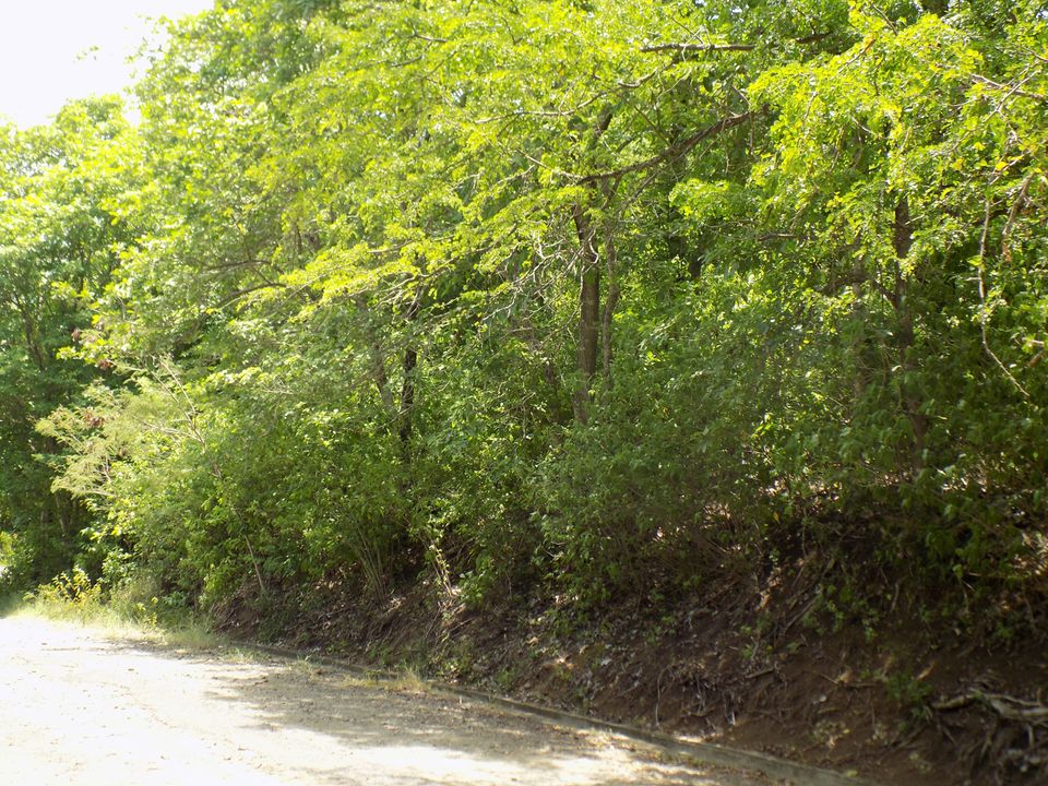 June Street Land Photo