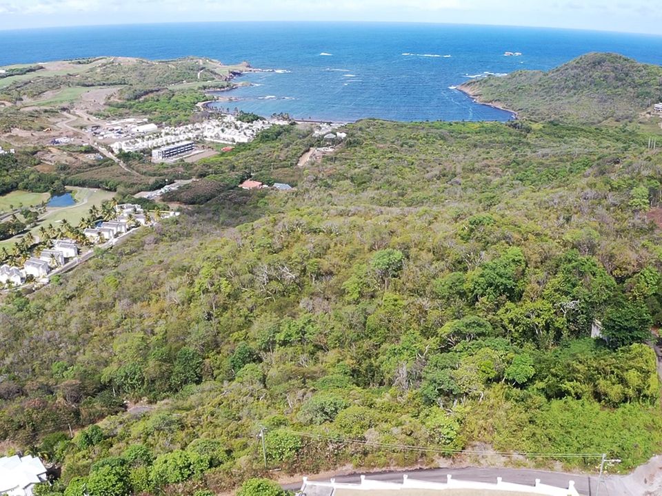 South Hills Land No. 442 Photo