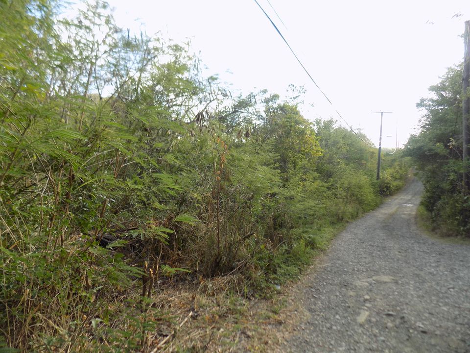 Trouya Land No 356 Photo